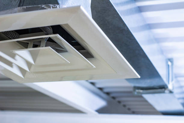 Best Ductwork Cleaning Services  in Jackson, AL