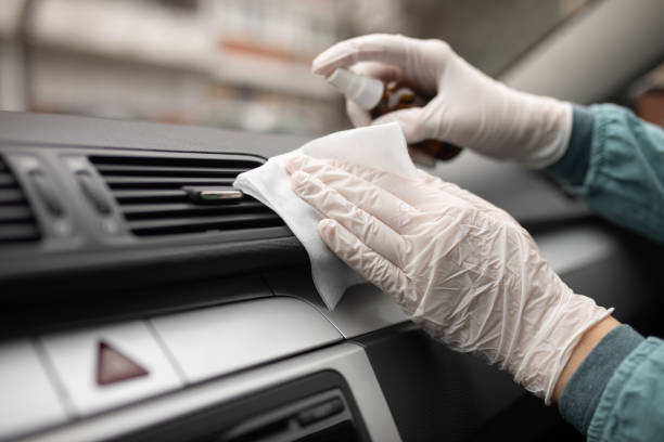 Best Air Duct Mold Removal  in Jackson, AL