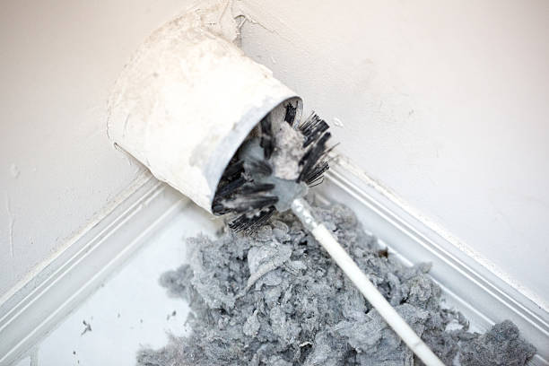Best Emergency Air Duct Cleaning  in Jackson, AL